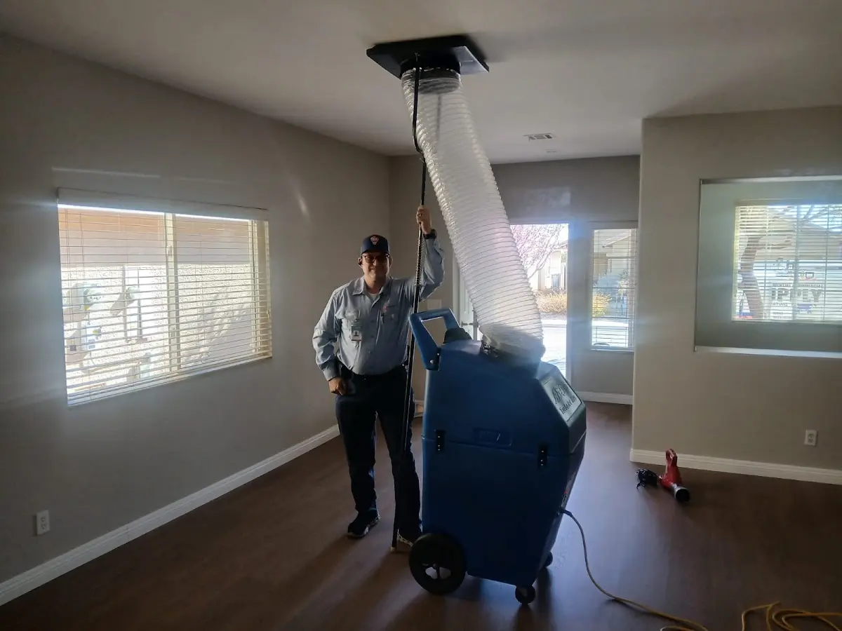 Professional Dryer Vent Cleaning work inside a Newmarket home